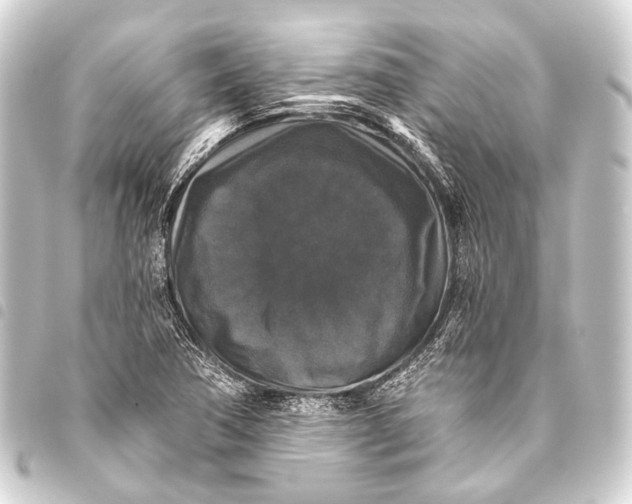 X0000093451362200711021105