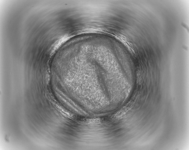 X0000093451363200711021105