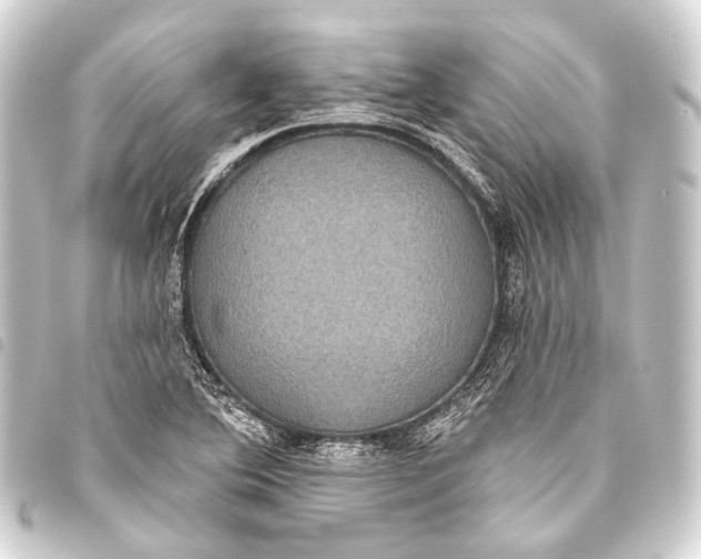 X0000093451364200711021105