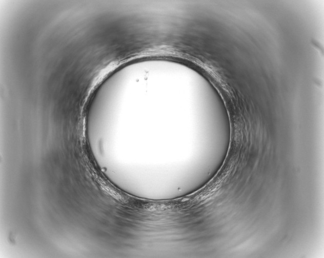 X0000093451366200711021105