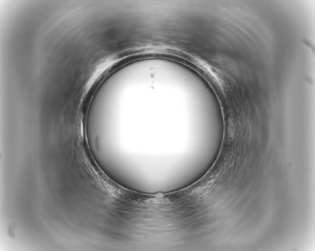 X0000093451368200711021105