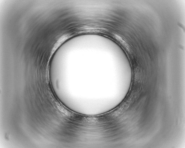 X0000093451370200711021105