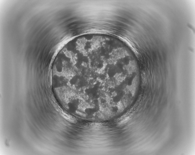 X0000093451371200711021105