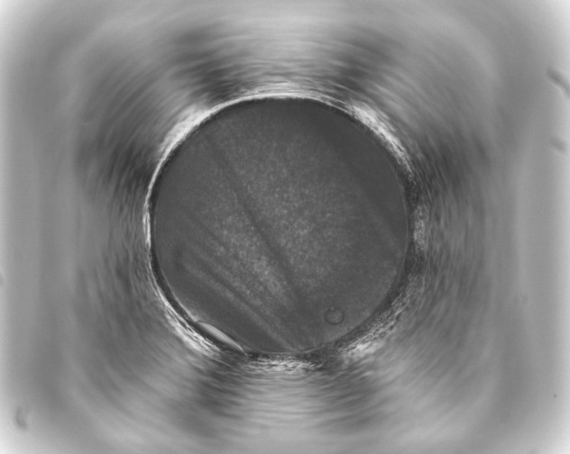 X0000093451372200711021105