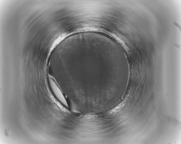 X0000093451373200711021105