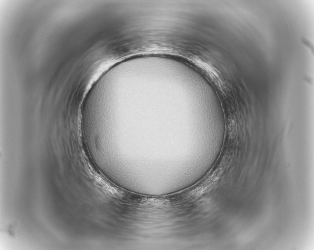 X0000093451374200711021105