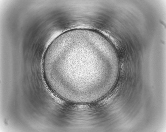 X0000093451375200711021105