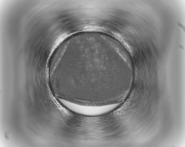 X0000093451376200711021105