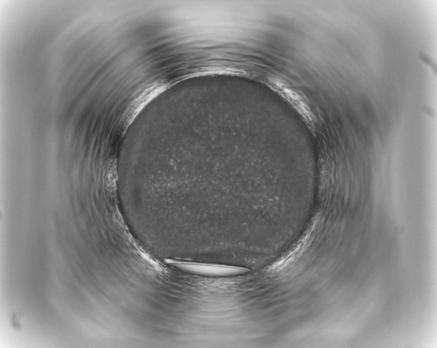 X0000093451377200711021105