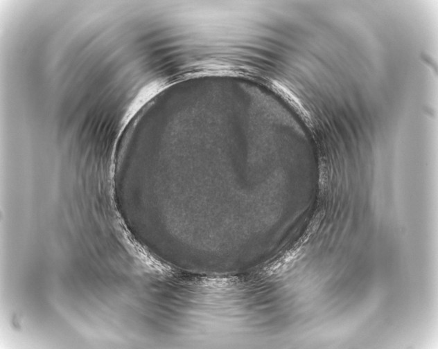 X0000093451378200711021105