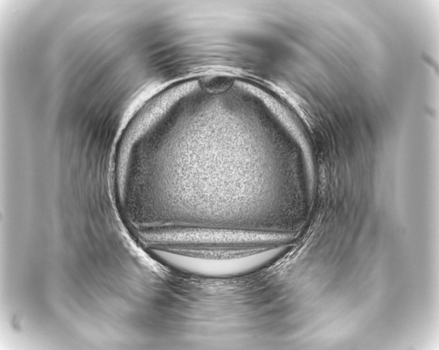 X0000093451379200711021105