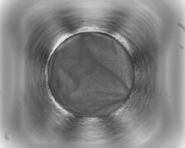 X0000093451382200711021105