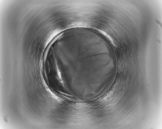 X0000093451383200711021105