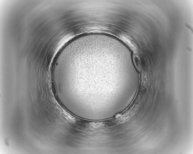 X0000093451384200711021105