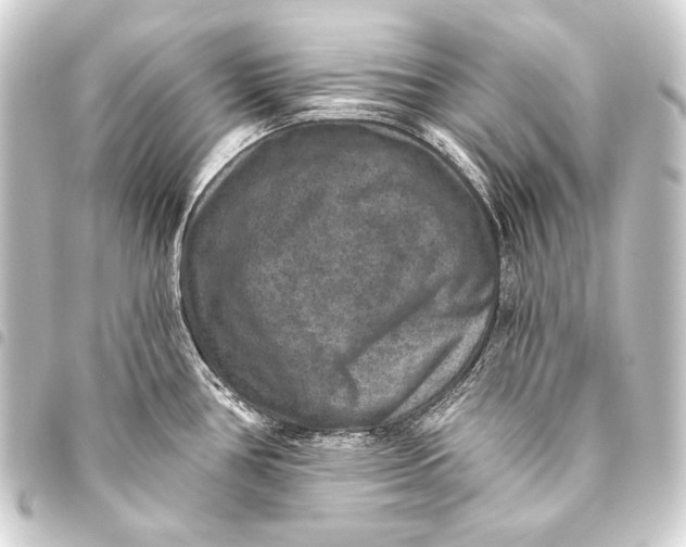 X0000093451386200711021105