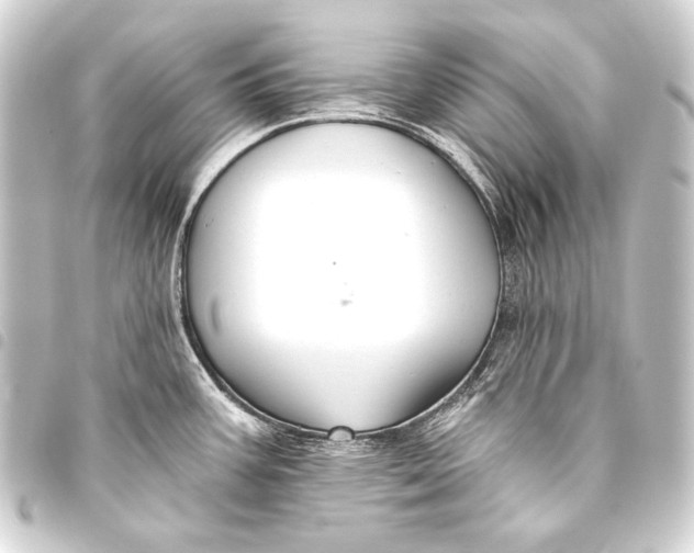 X0000093451387200711021105