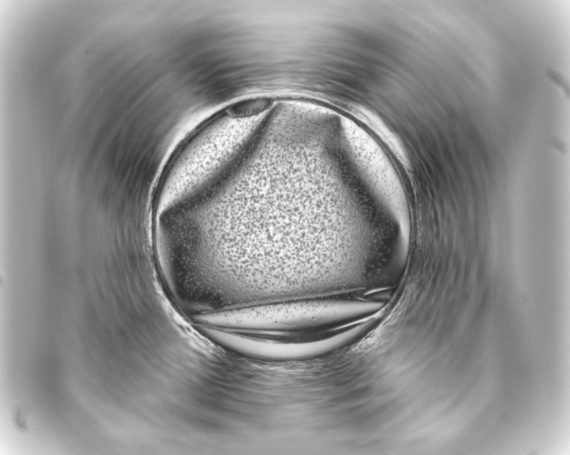 X0000093451388200711021105