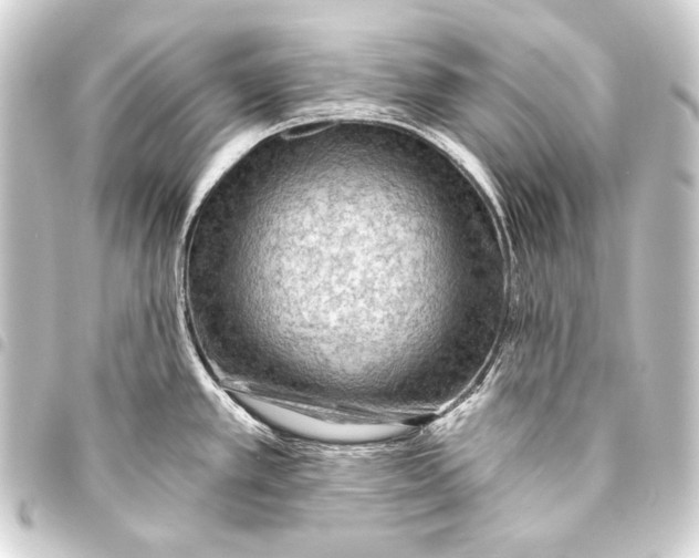 X0000093451389200711021105