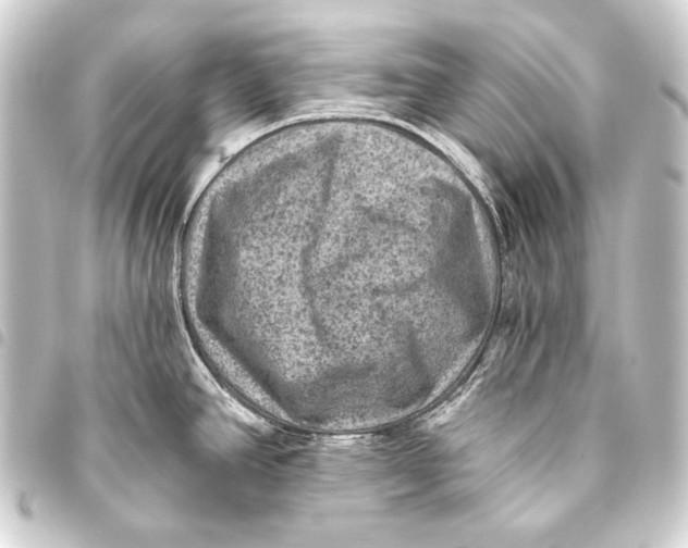 X0000093451390200711021105