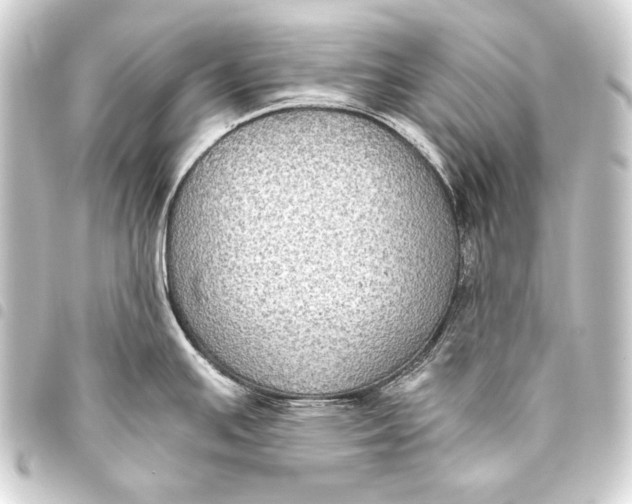 X0000093451391200711021105