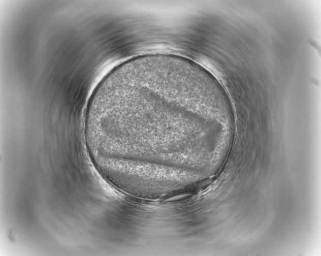 X0000093451392200711021105