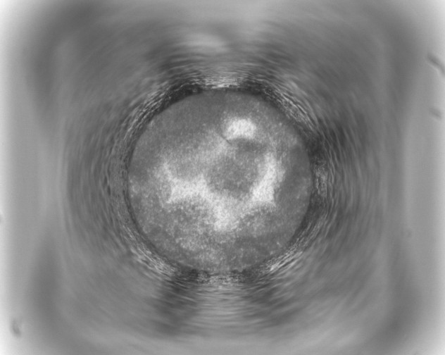 X0000093451393200711021104