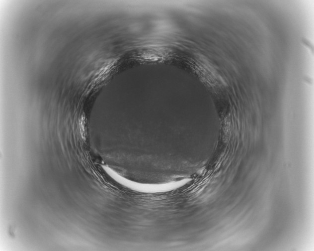 X0000093451394200711021104