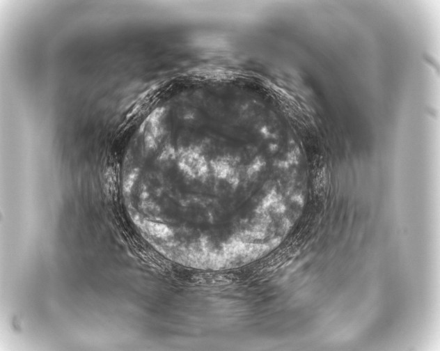 X0000093451397200711021104