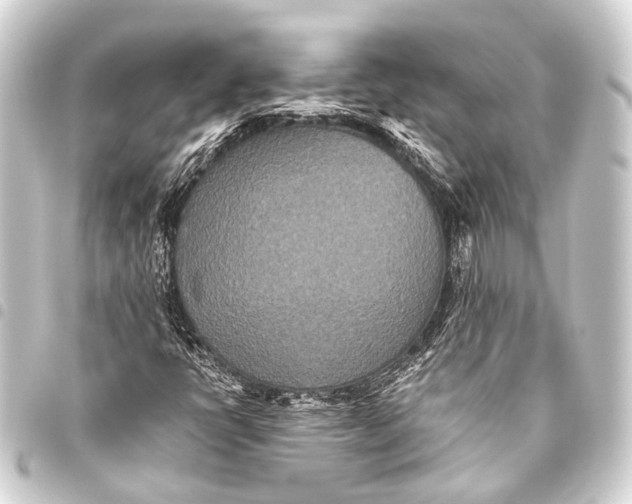 X0000093451398200711021104