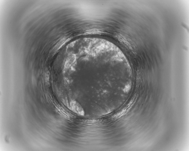 X0000093451401200711021104