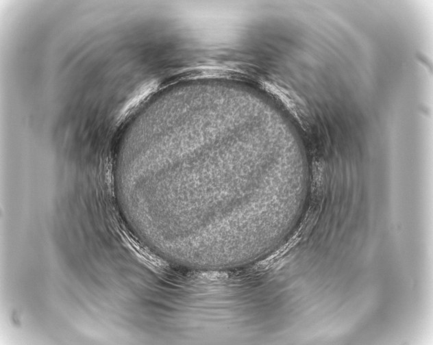 X0000093451403200711021104