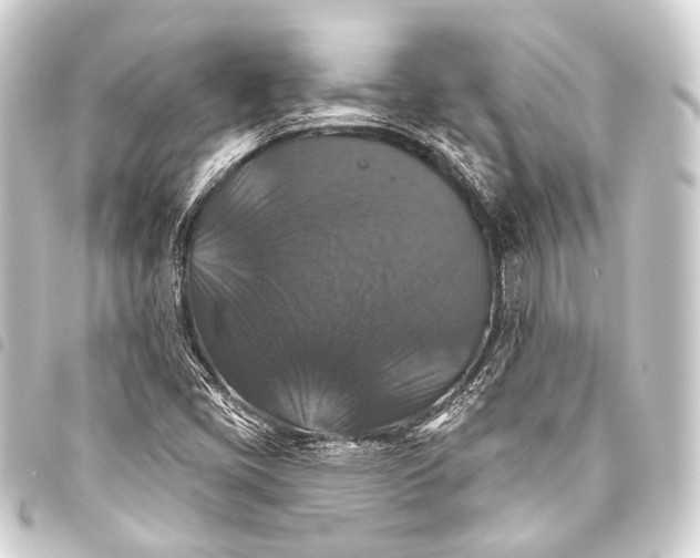 X0000093451405200711021104