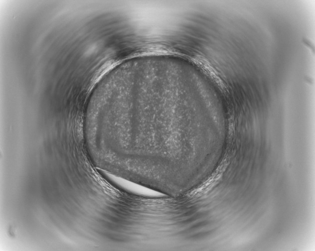 X0000093451409200711021105