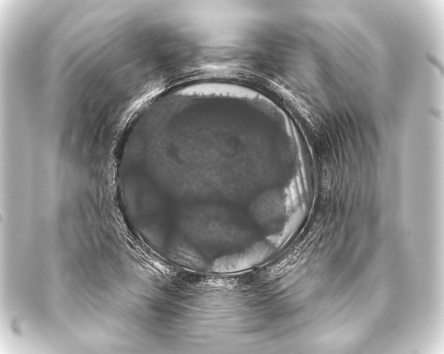 X0000093451411200711021105