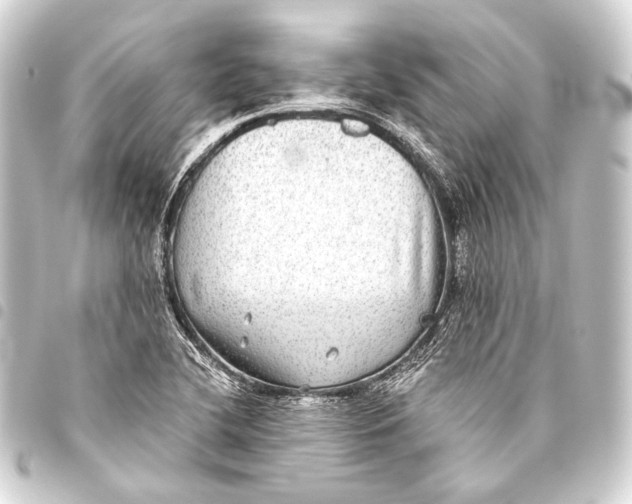 X0000093451412200711021105