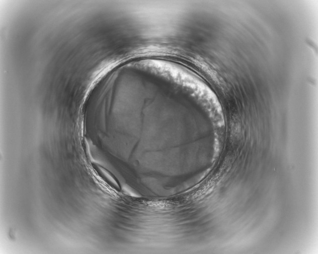 X0000093451413200711021105