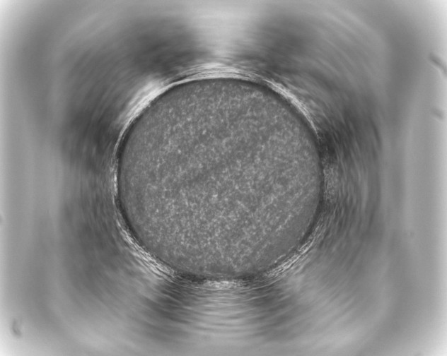 X0000093451415200711021105