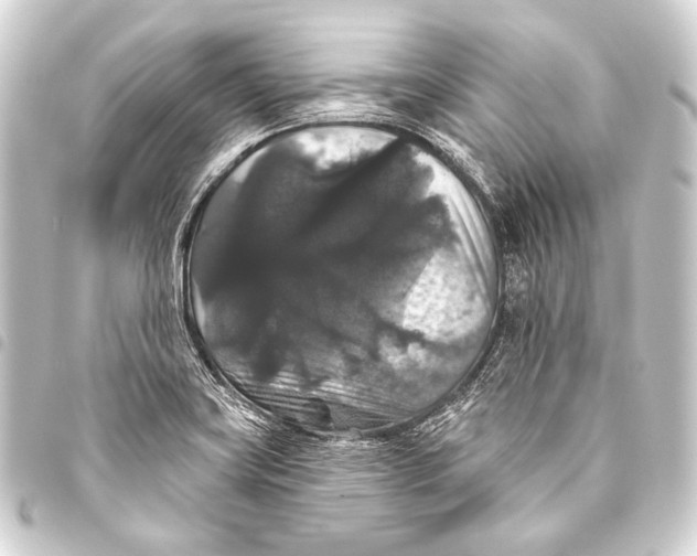 X0000093451419200711021105