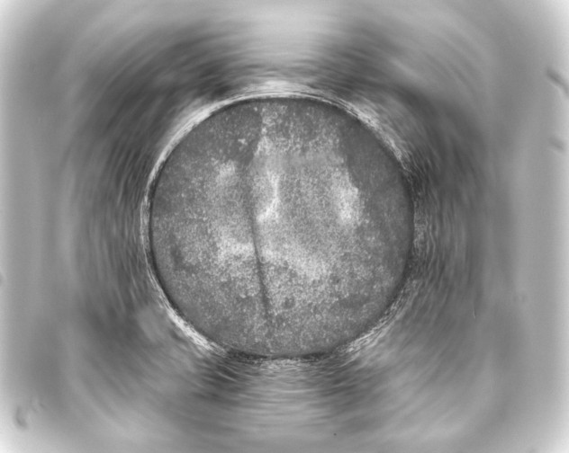 X0000093451421200711021105