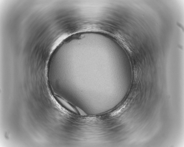 X0000093451422200711021105