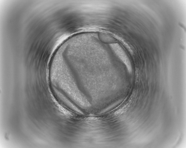 X0000093451424200711021105