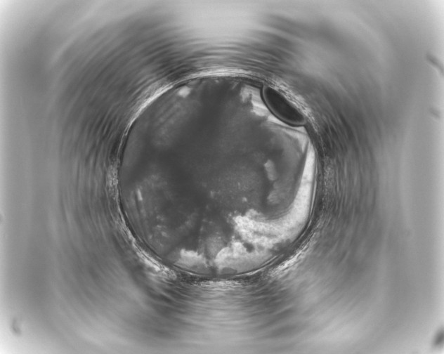 X0000093451425200711021105