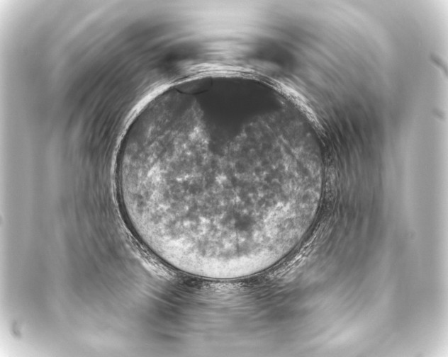 X0000093451427200711021105