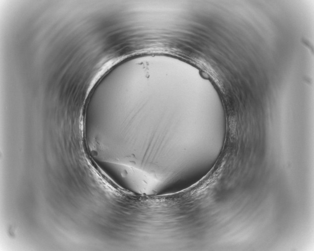 X0000093451428200711021105