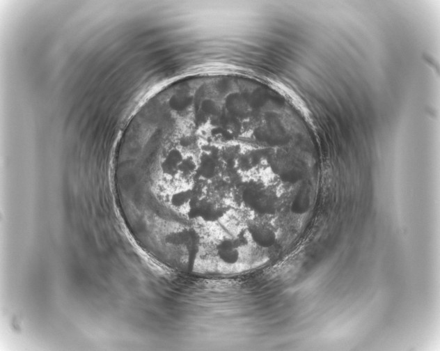 X0000093451429200711021105