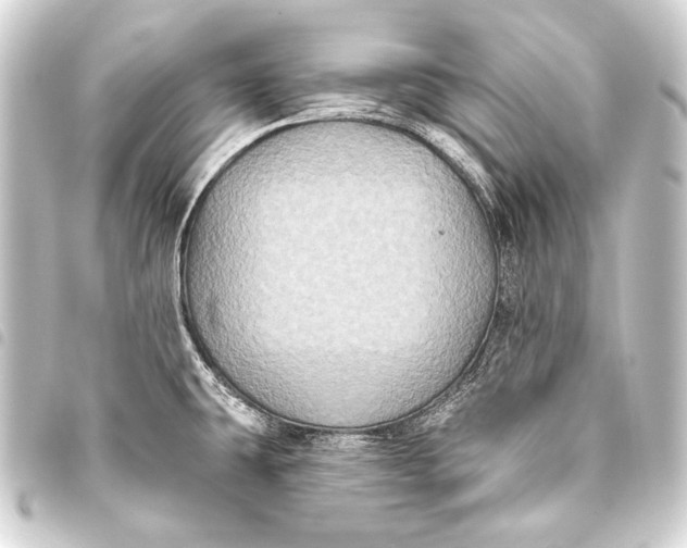 X0000093451431200711021105