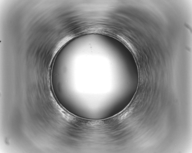 X0000093451434200711021105