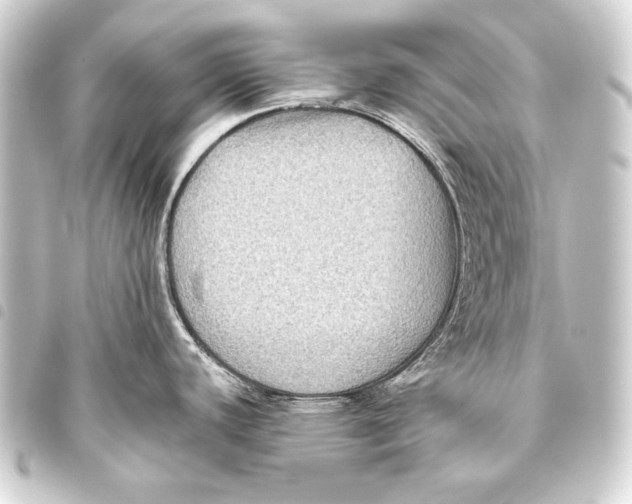 X0000093451440200711021105