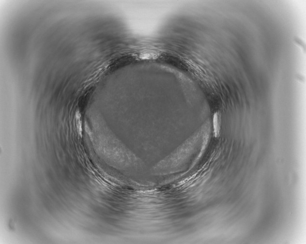 X0000093451443200711021104