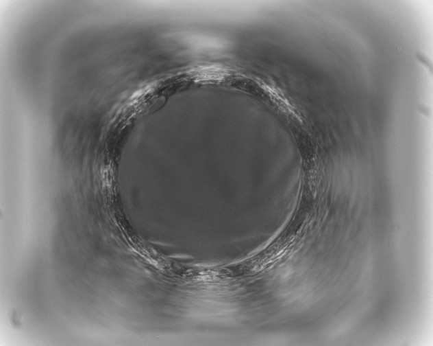 X0000093451445200711021104